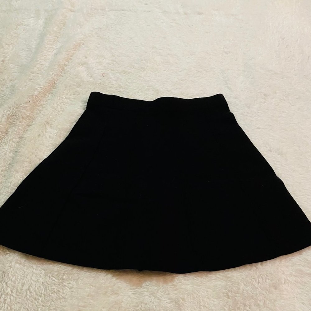 Zara Black Skirt